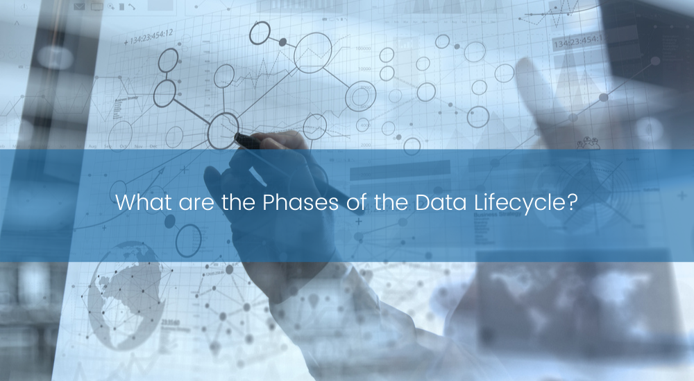 What are the 6 Phases of the Data Lifecycle?