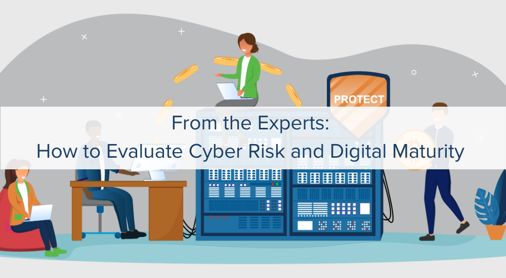 evaluate cyber security and digital maturity